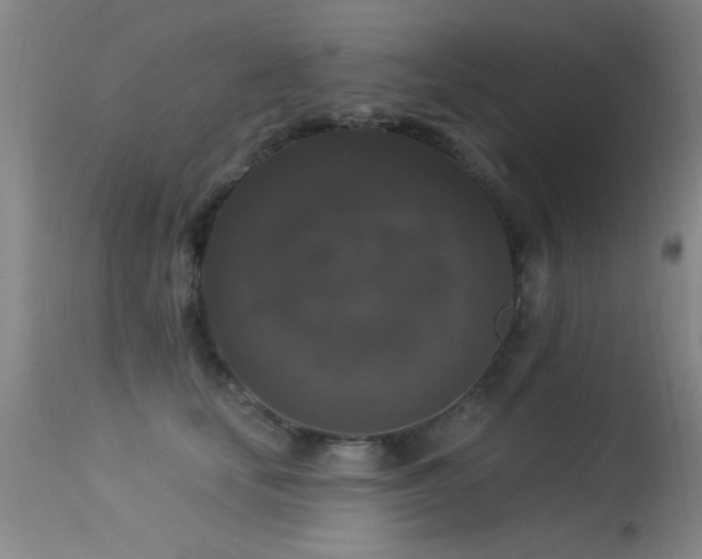 X0000113270659200909171715