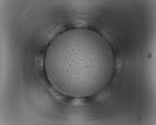 X0000113270664200909171715