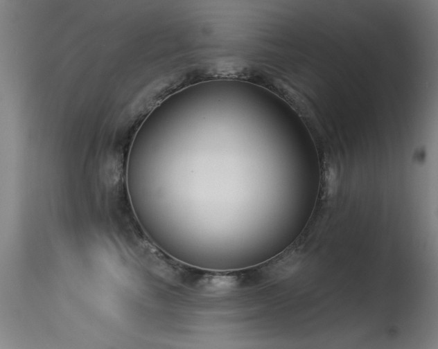 X0000113270665200909171715