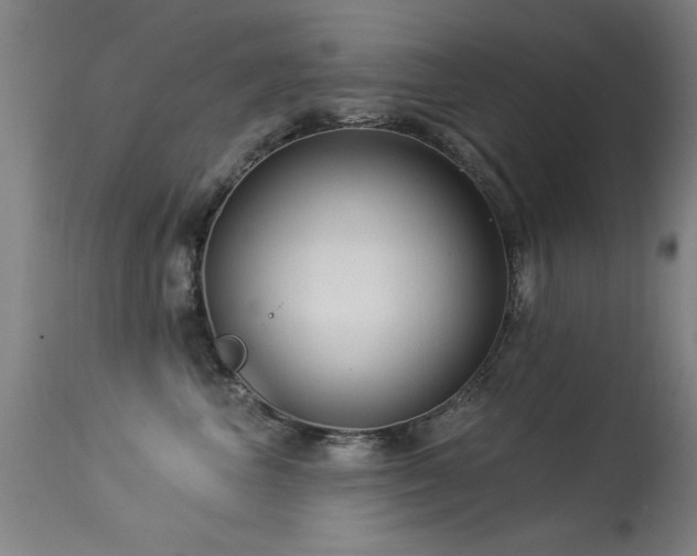 X0000113270667200909171715