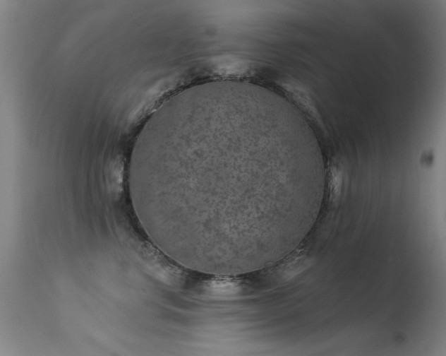 X0000113270668200909171715