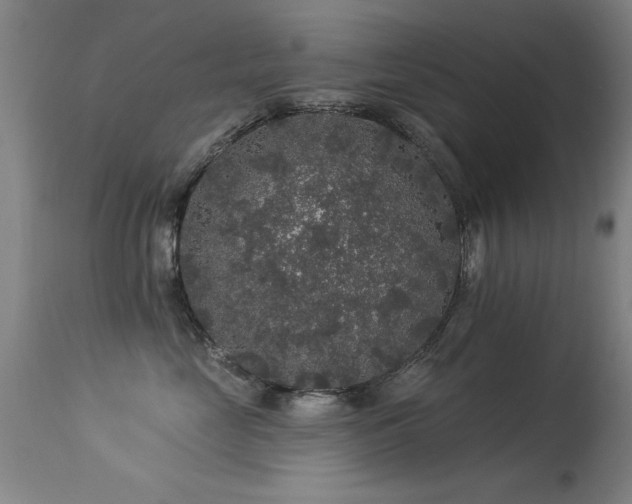 X0000113270669200909171715