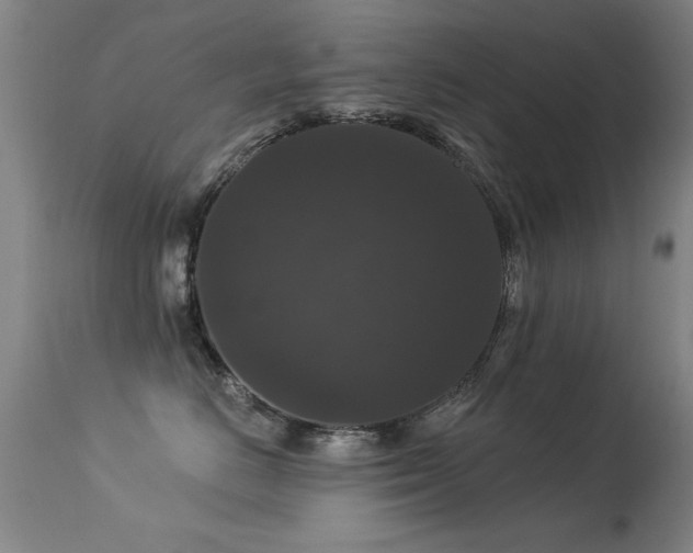 X0000113270670200909171715