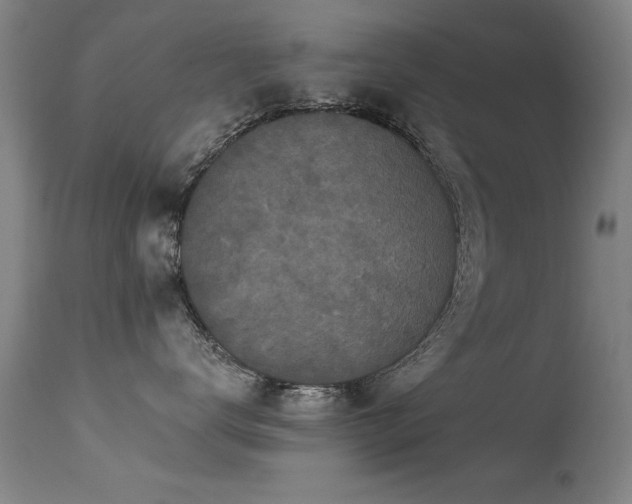 X0000113270672200909171715