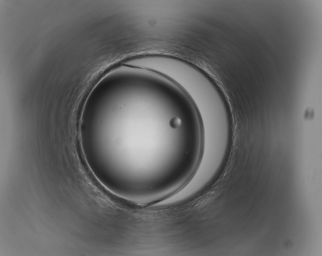 X0000113270673200909171714