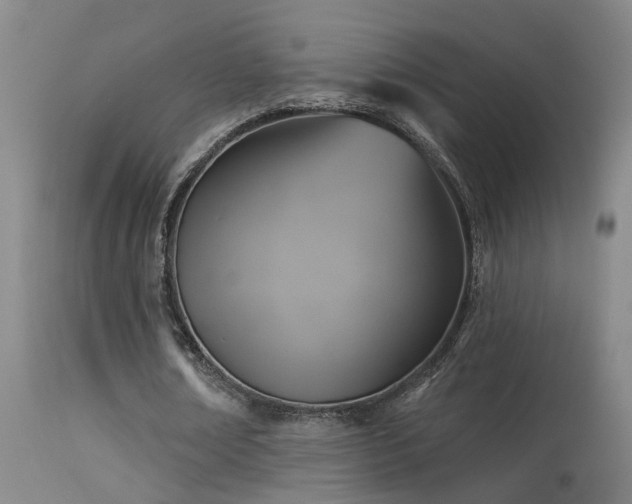 X0000113270674200909171714