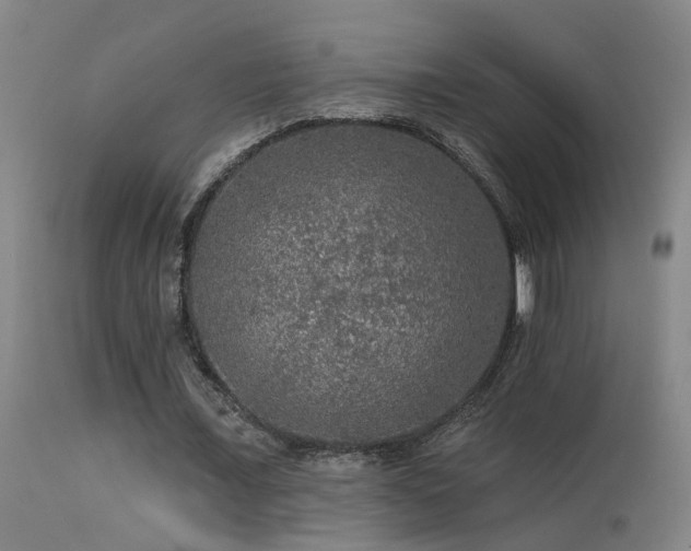 X0000113270675200909171714