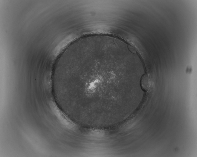 X0000113270677200909171714