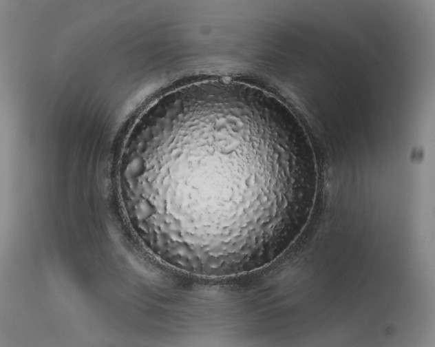 X0000113270679200909171714
