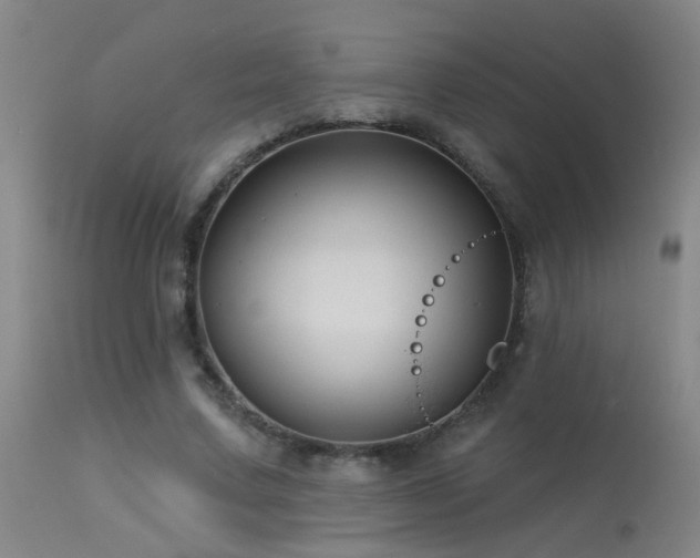 X0000113270683200909171714