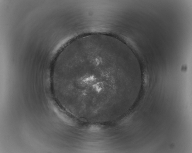 X0000113270684200909171714