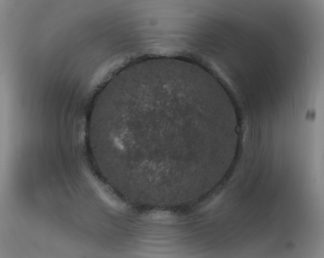 X0000113270685200909171714