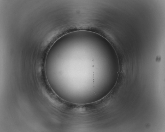 X0000113270687200909171714