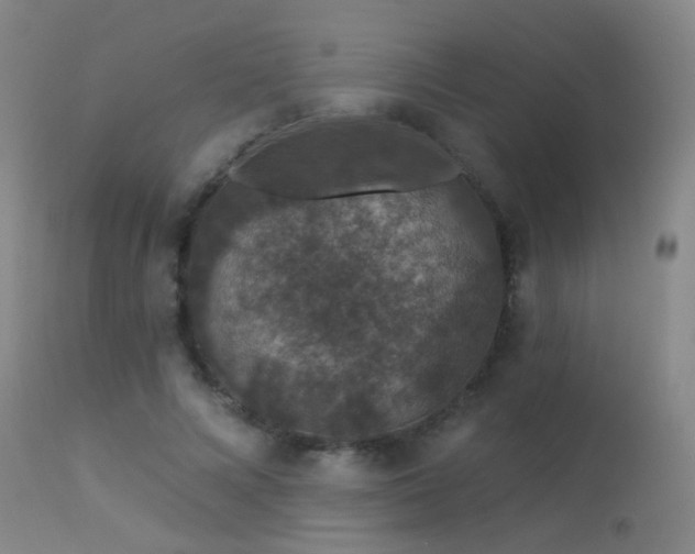 X0000113270688200909171714