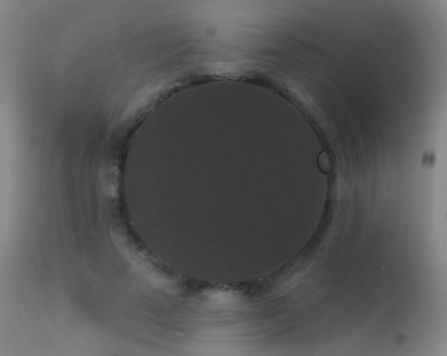 X0000113270689200909171714