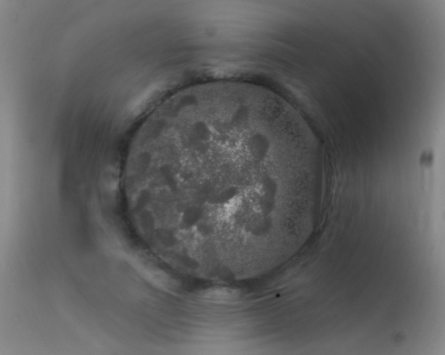 X0000113270691200909171714