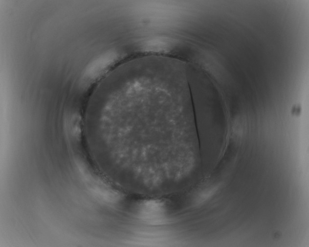 X0000113270692200909171714