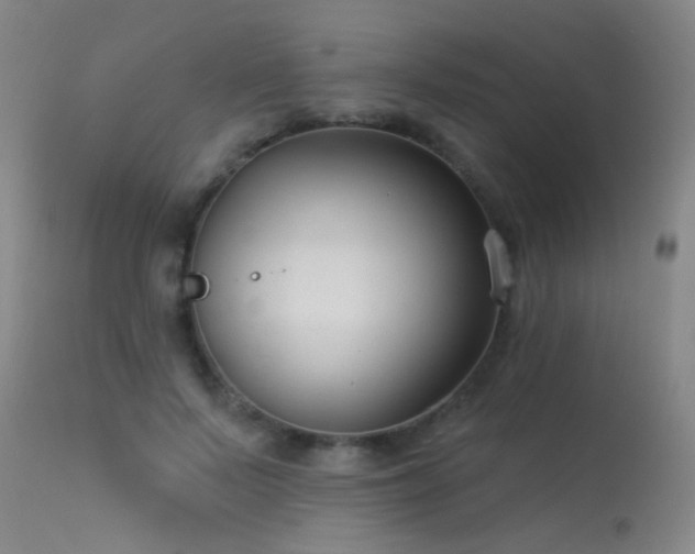 X0000113270695200909171714