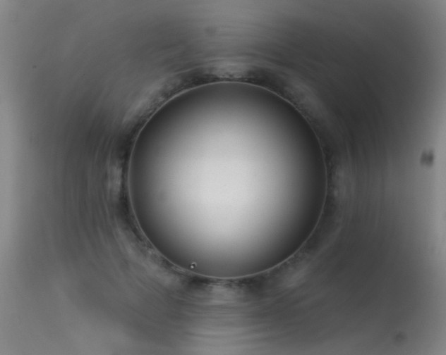 X0000113270697200909171714