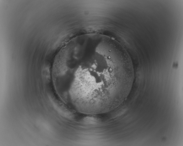 X0000113270699200909171714
