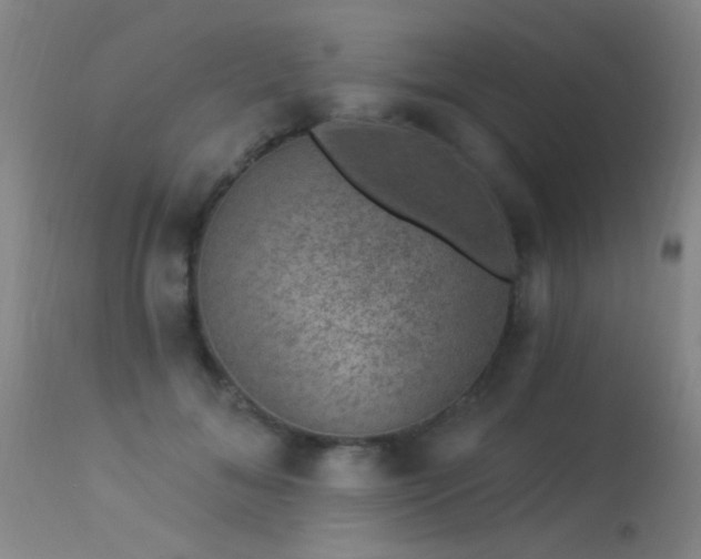 X0000113270700200909171714