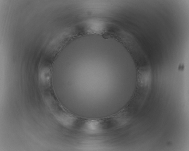 X0000113270701200909171714