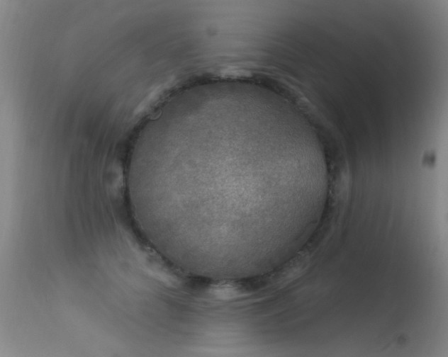 X0000113270704200909171714