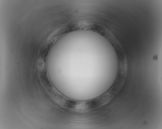 X0000113270705200909171714