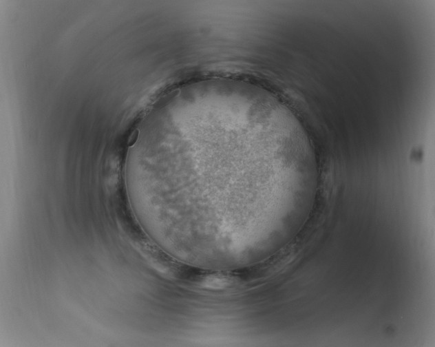 X0000113270708200909171714