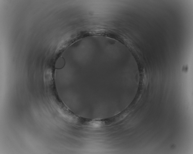 X0000113270711200909171714