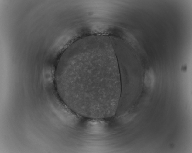 X0000113270712200909171714