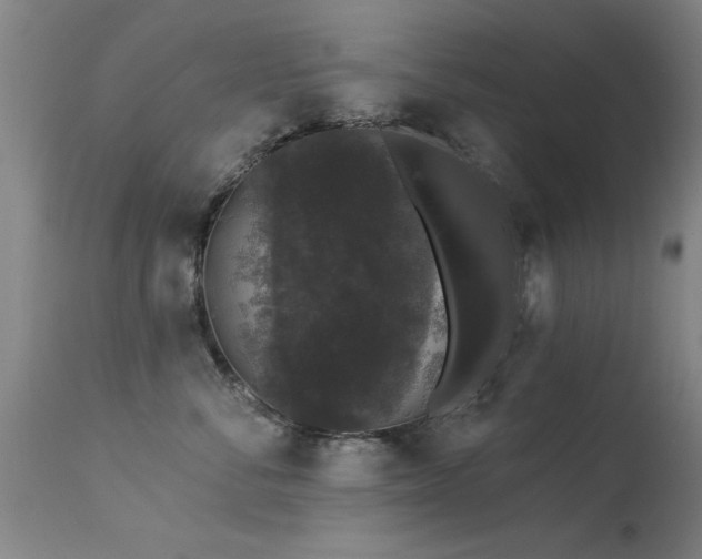 X0000113270716200909171714