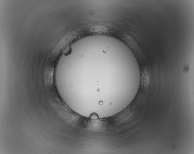 X0000113270717200909171714