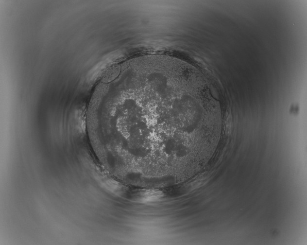 X0000113270719200909171714
