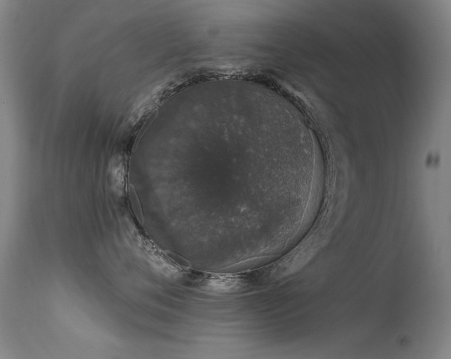 X0000113270720200909171714