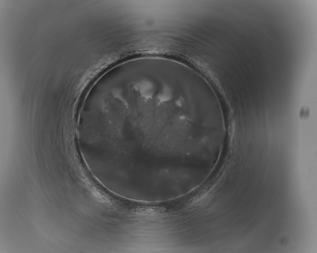 X0000113270721200909171713