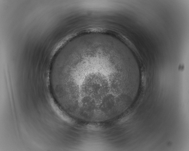 X0000113270725200909171713