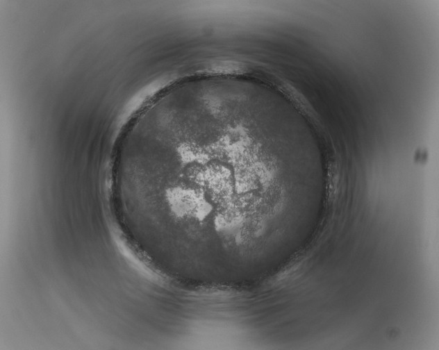 X0000113270726200909171713