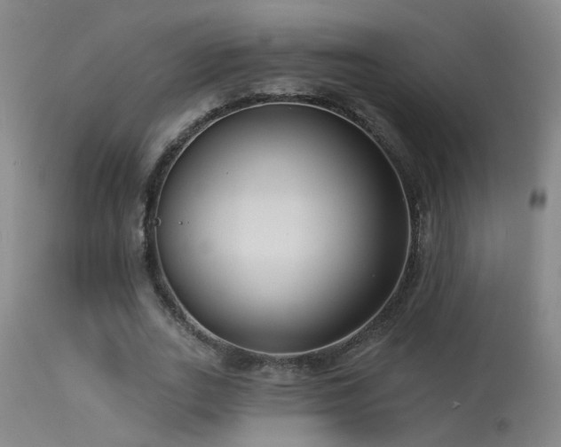 X0000113270727200909171713