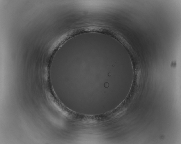 X0000113270729200909171713