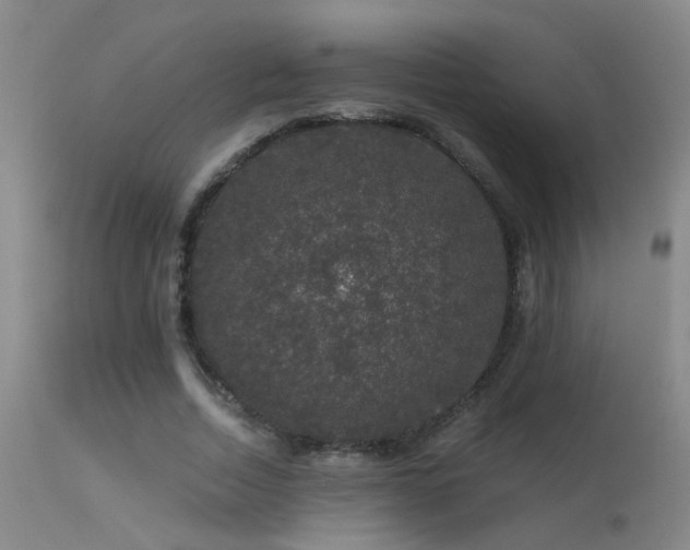 X0000113270730200909171713