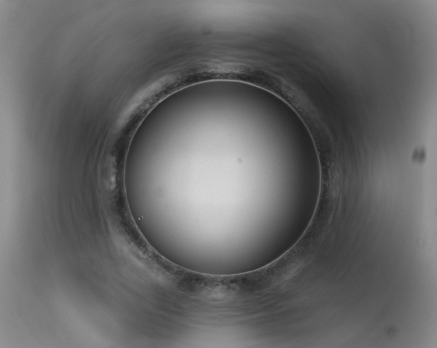 X0000113270731200909171713