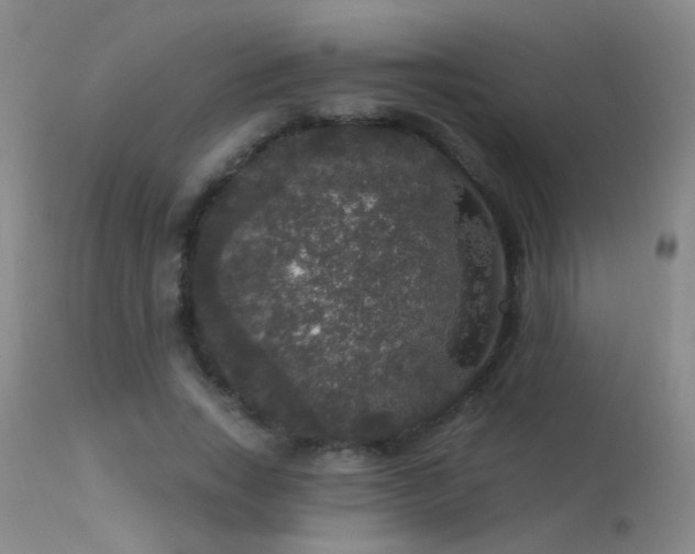 X0000113270735200909171713