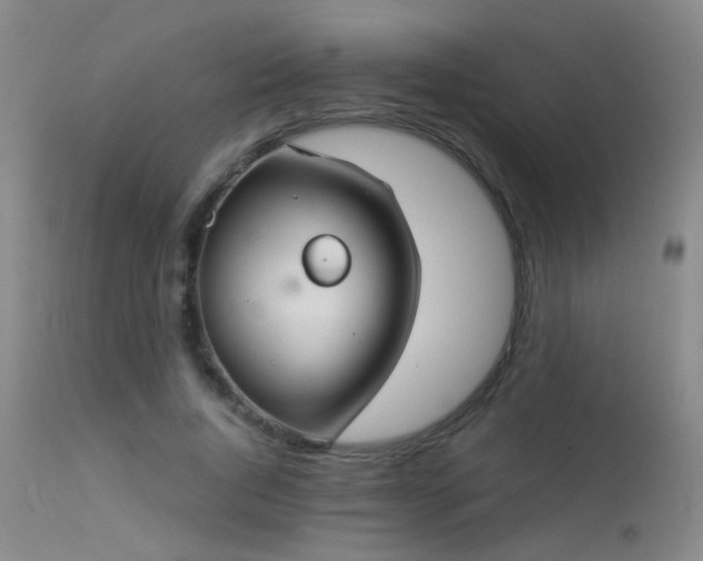 X0000113270736200909171713