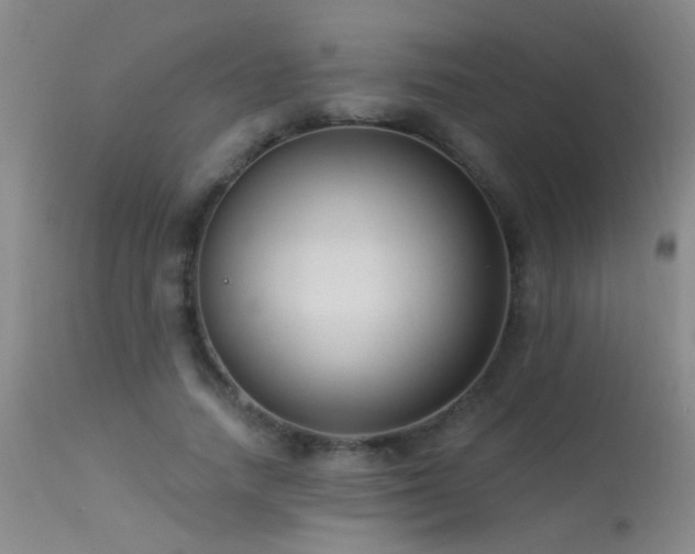 X0000113270738200909171713