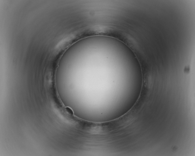 X0000113270740200909171713