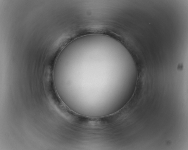 X0000113270744200909171713