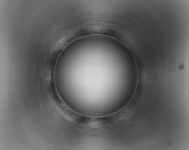 X0000113270746200909171713
