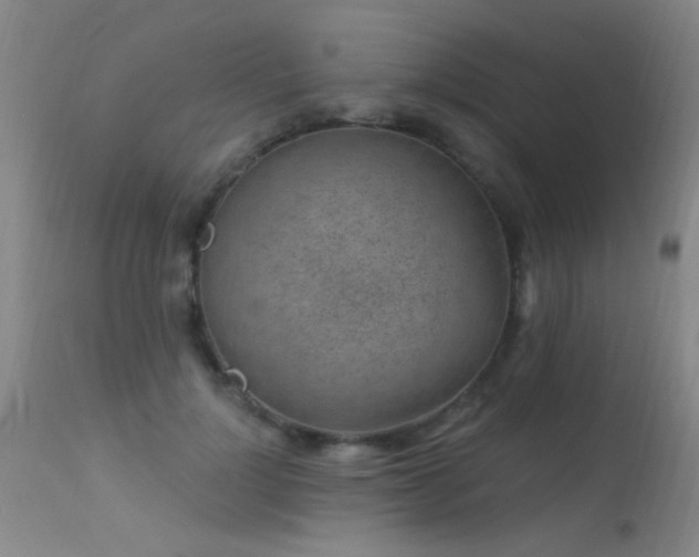 X0000113270748200909171713