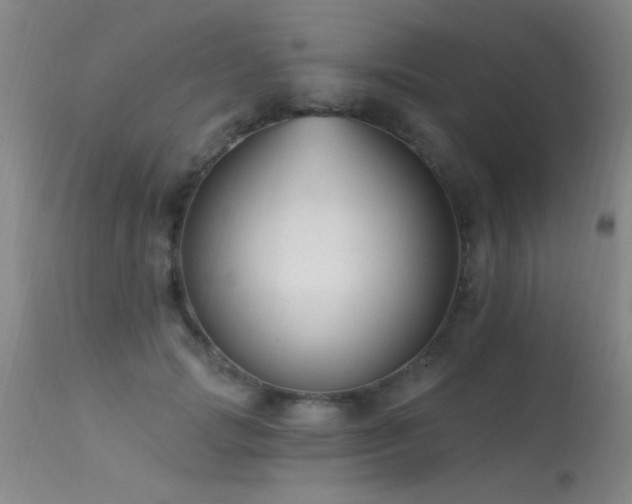 X0000113270749200909171713